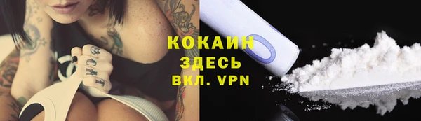 ПСИЛОЦИБИНОВЫЕ ГРИБЫ Балабаново