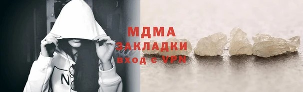 шишки Покачи